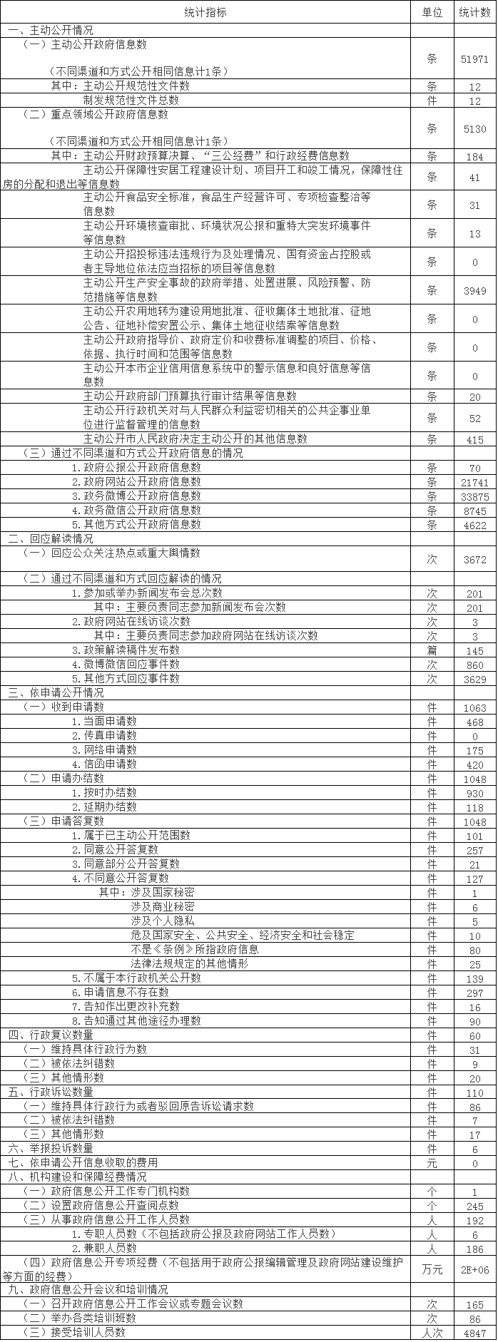 政府信息公开情况统计表